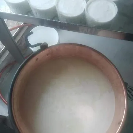 U Mulinu Apartment Moita