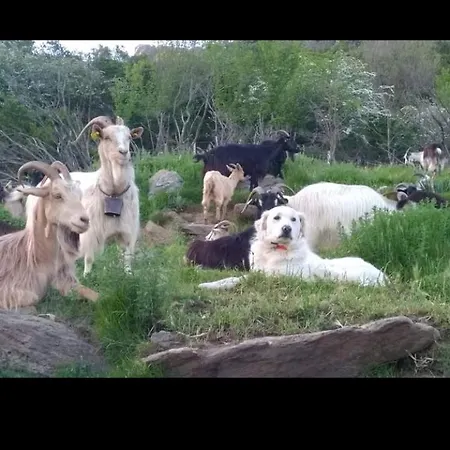 Апартаменты U Mulinu *