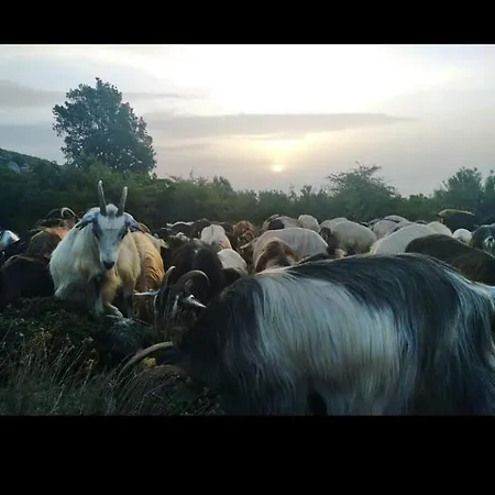 U Mulinu Апартаменты