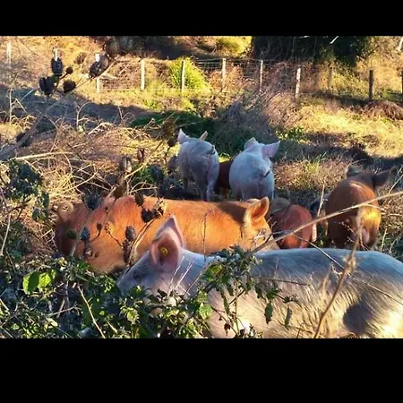 Apartment U Mulinu Moita