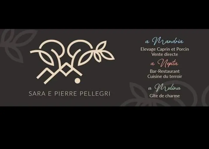 Apartamento U Mulinu Moita