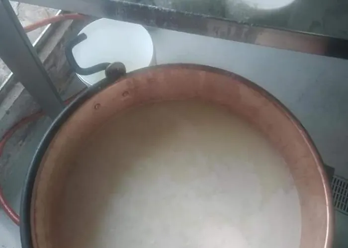 U Mulinu Apartment Moita