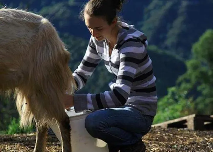 Apartment U Mulinu *