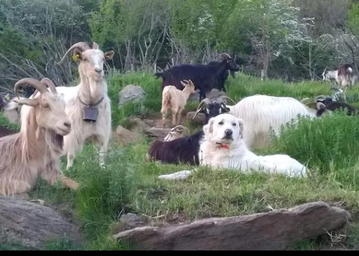 Apartamento U Mulinu *