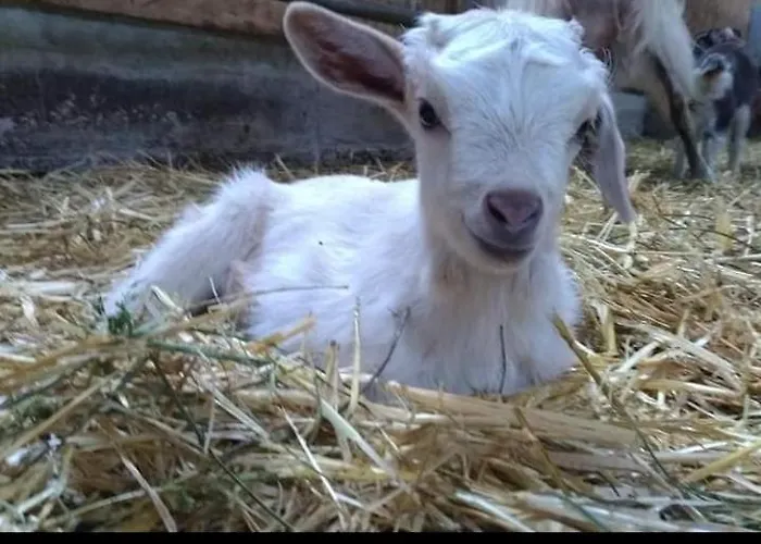 Apartamento U Mulinu Moita