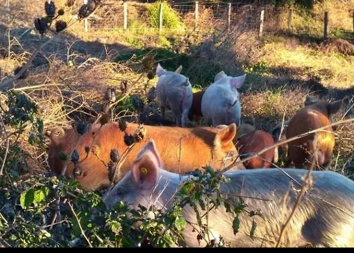 Apartment U Mulinu Moita