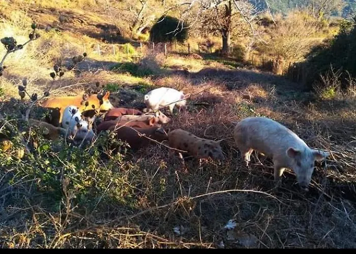 Apartamento U Mulinu *