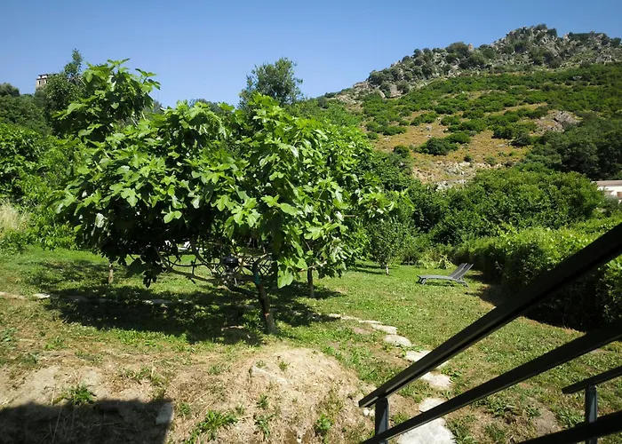 Apartment U Mulinu Moita